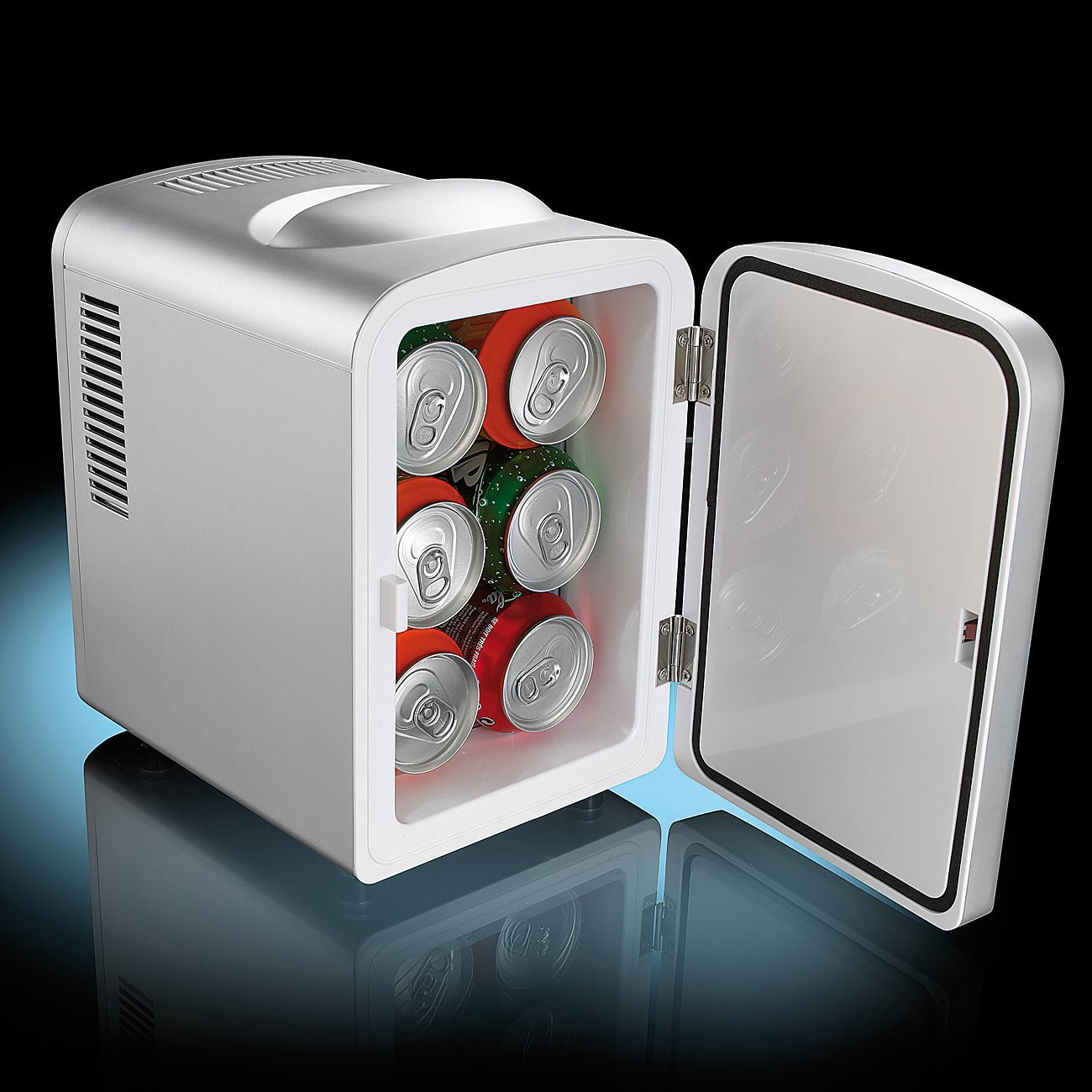 Mini Kühlschrank für 12/230 V